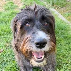 Meet your Posher, Sierra